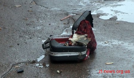 У Житомирі підірвали валізу з флейтою