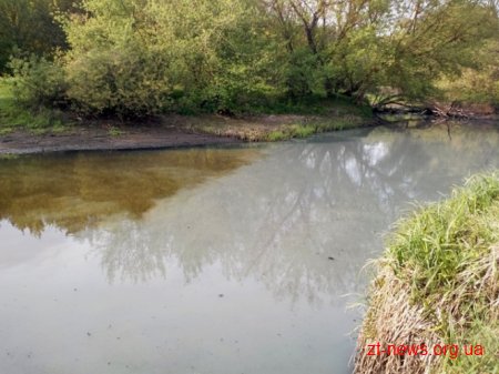 Річки у Баранівському районі забруднили знову