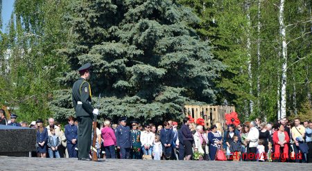 У Житомирі відзначили День перемоги над нацизмом