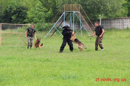 У житомирському Кінологічному центрі поліція влаштувала для дітей показові виступи