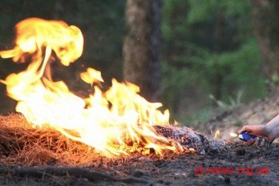 На Овруччині лісівники боролися з навмисними підпалами лісу На Овруччині лісівники боролися з навмисними підпалами лісу