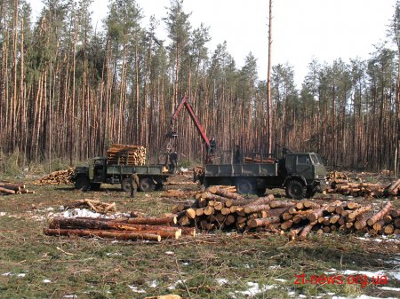 На Житомирщині затримали чоловіків, які намагалися вивезти ягоди та металобрухт з зони відчуження