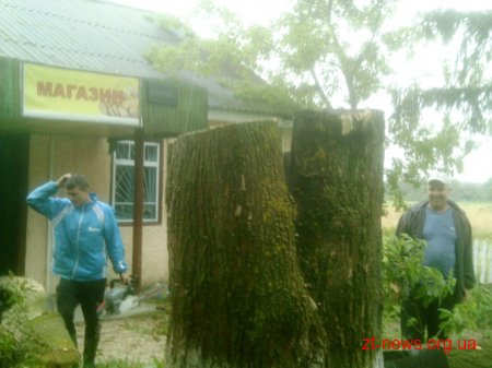 На Житомирщині рятувальники ліквідували займання дерева, яке впало на магазин