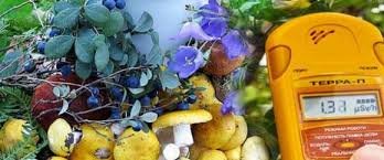 На Житомирщині дослідили харчові продукти на вміст цезію