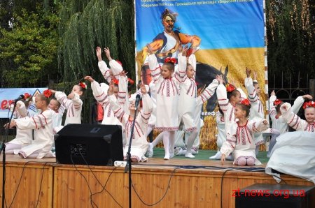 У Житомирі вдруге пройшов фестиваль «Свято українського коня»
