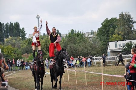 У Житомирі вдруге пройшов фестиваль «Свято українського коня»