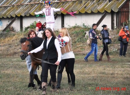 У Житомирі вдруге пройшов фестиваль «Свято українського коня»