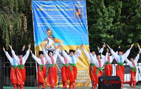 У Житомирі вдруге пройшов фестиваль «Свято українського коня»