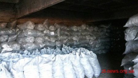 На Житомирщині СБУ припинила незаконне випалювання деревного вугілля