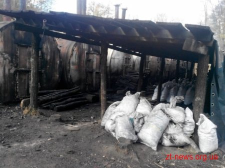 На Житомирщині СБУ припинила незаконне випалювання деревного вугілля