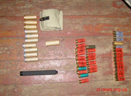На Житомирщині при обшуку в оселі поліція виявила арсенал зброї
