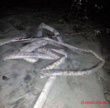 На Житомирщині поліцейські затримали бурштинокопачів у природному заповіднику