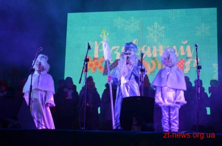 Головну ялинку області урочисто відкрили в Житомирі