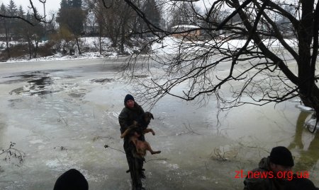 На Житомирщині бійці ДСНС врятували потопаючу собаку