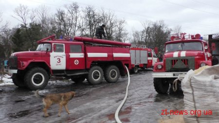 У Житомирі горів деревопереробний цех