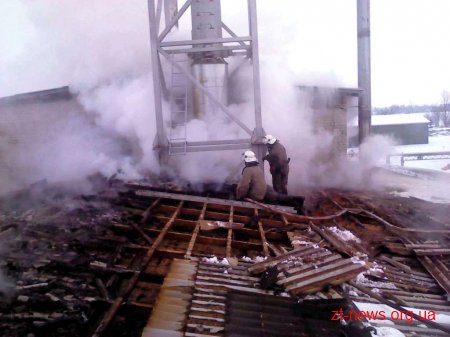 На Житомирщині горів цех по виробництву брикету