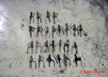 На Житомирщині поліція вилучила зі сховку боєприпаси