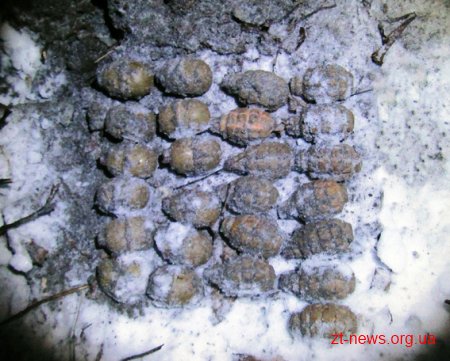 На Житомирщині поліція вилучила зі сховку боєприпаси