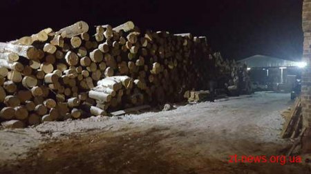 Поблизу Житомира виявили нелегальну пилораму