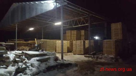 Поблизу Житомира виявили нелегальну пилораму