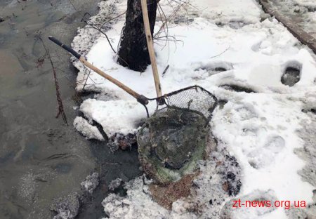За тиждень на Олевщині затримали 15 старателів