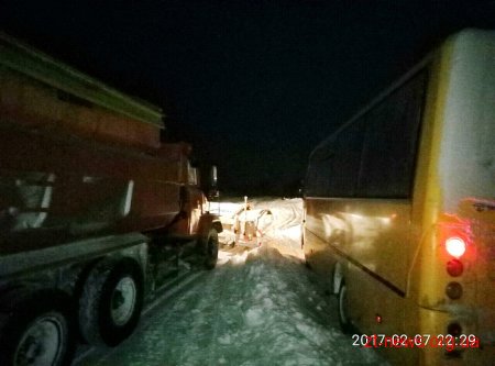 На Житомирщині зі снігових заметів вивільнили 6 авто