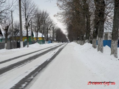 На автодорогах Житомирщини працює 132 одиниці техніки