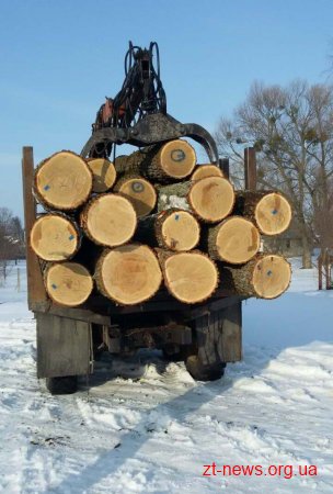 Із «чорних лісорубів» стягнуть майже 220 тис грн