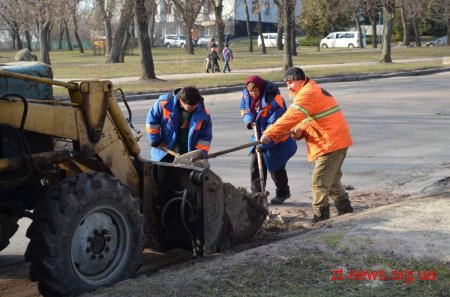 У Житомирі продовжується планове прибирання