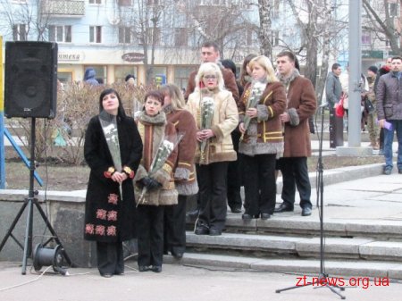 День українського добровольця відзначили у Житомирі