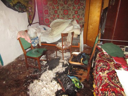 На Житомирщині онук вбив рідну бабусю