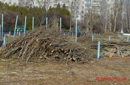 Комунальні служби міста продовжують роботу з прибирання Житомира