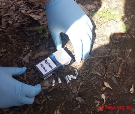 На Житомирщині поліція затримала організаторів наркоквесту
