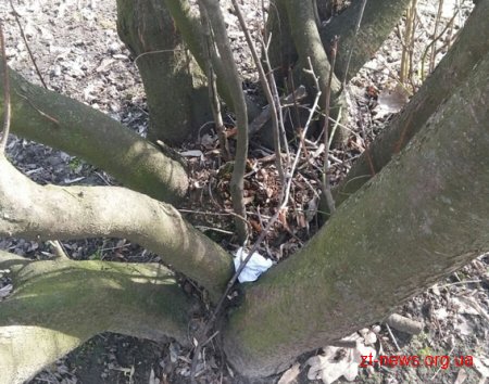 На Житомирщині поліція затримала організаторів наркоквесту