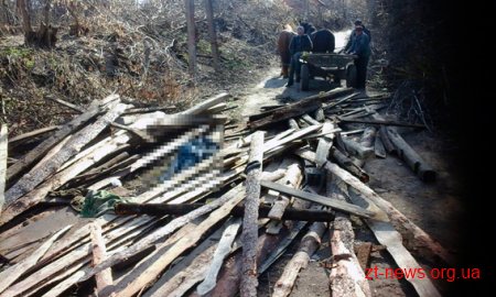 На Житомирщині дошки, які впали з воза вбили 9-річну дитину