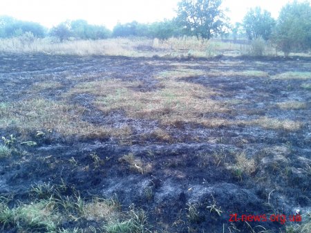 Цими вихідними на Житомирщині горів сухостій та торф