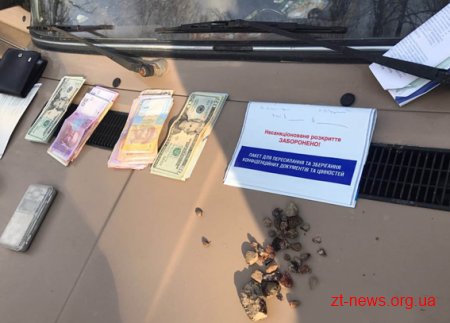 На Житомирщині затримали чергових скупників бурштину