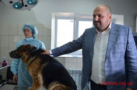 У Житомирі розпочали реалізацію проекту «Зменшення кількості безпритульних тварин»
