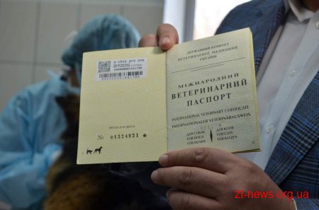 У Житомирі розпочали реалізацію проекту «Зменшення кількості безпритульних тварин»