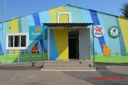 У Житомирі розпочали реалізацію проекту «Зменшення кількості безпритульних тварин»