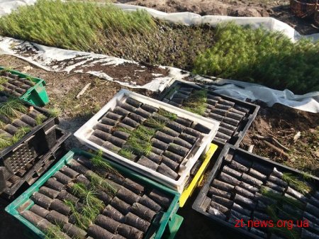 Студенти ЖДТУ приєднались до акції «Майбутнє лісу в твоїх руках»