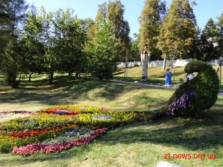 У Житомирі планують змінити зовнішній вигляд 39 клумб