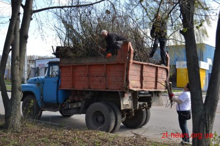 Житомиряни активно долучаються до весняного прибирання