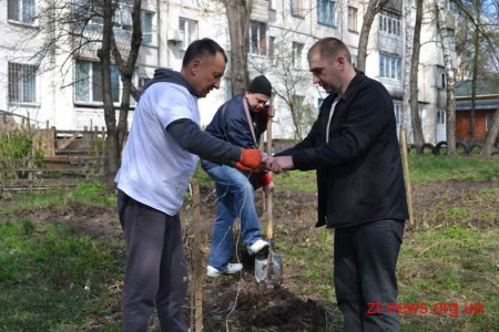 Житомиряни активно долучаються до весняного прибирання