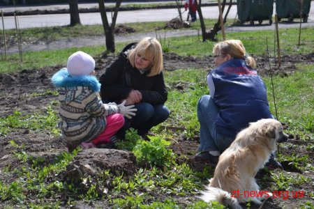 Житомиряни активно долучаються до весняного прибирання