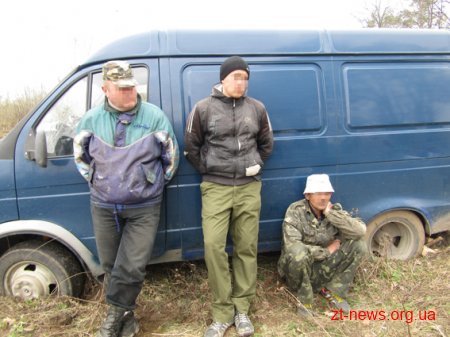 На Житомирщині селяни затримали 3 чоловіків, які крали дубові колоди