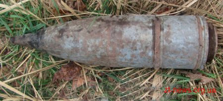 За 10 днів жителі Житомирщини добровільно здали понад 80 одиниць зброї