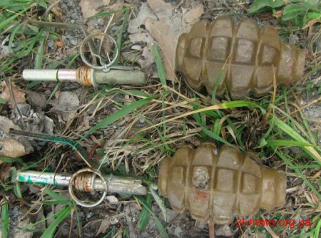 За 10 днів жителі Житомирщини добровільно здали понад 80 одиниць зброї