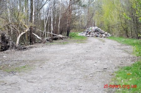 Жителі Пулинського району заблокували вантажівку з львівським сміттям