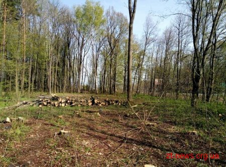Територію для будівництва Північного обходу очищають від дерев